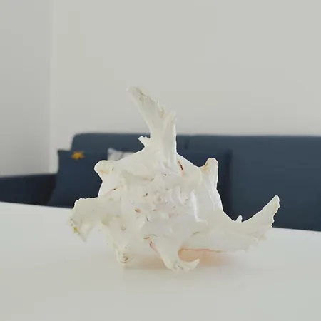 Oltremare * Gallipoli